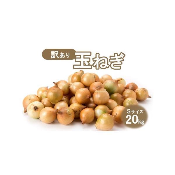 ■ 容量　玉ねぎ(Sサイズ) 20kg■ 配送について　発送可能時期より順次発送予定　（2025年12月?2026年3月末まで）　タイプ：【常温】