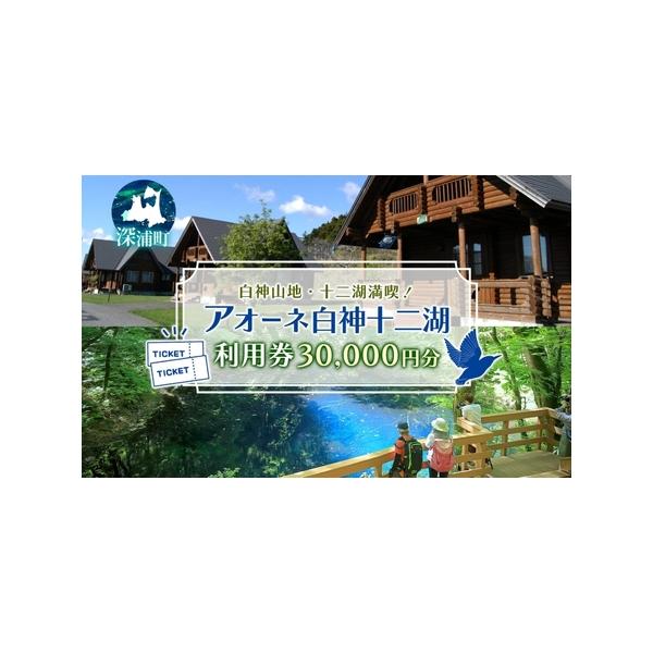 ■ 容量　アオーネ白神施設で使える利用券（30,000円分）　　タイプ：【常温】