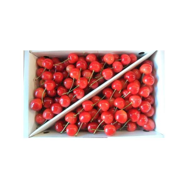 ■ 容量　佐藤錦　１ｋｇ　ＭＬサイズ混合　ご家庭用　バラ詰め　※小さい粒が入る場合がございます。　※サイズの指定はできません。　※天候により出荷時期や規格（数、サイズ、品種等）を変更する場合がございます。■ 配送について　２０２６年６月中旬...