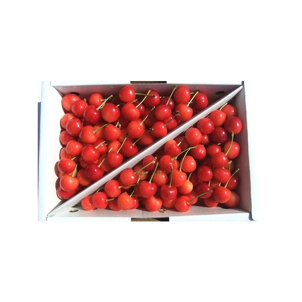 ■ 容量　紅さやか　１ｋｇ　ご家庭用　Ｍ、Ｌ混合　バラ詰め　※色ムラ、サイズ不揃いのためご家庭用です。　※サイズの指定はできません。　※天候により出荷時期や規格（数、サイズ、品種等）を変更する場合がございます。■ 配送について　２０２６年６...