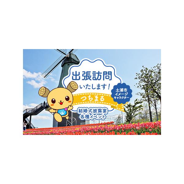 ■ 容量　土浦市イメージキャラクターつちまる訪問サービス■ 配送について　寄付後、1週間から10日程度でメールまたは電話で詳細についてご案内いたします。