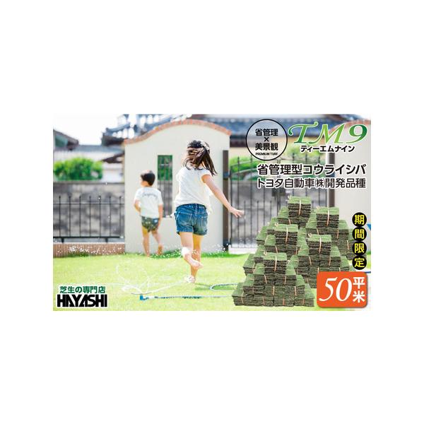 TM9省管理型コウライシバで理想の庭づくり