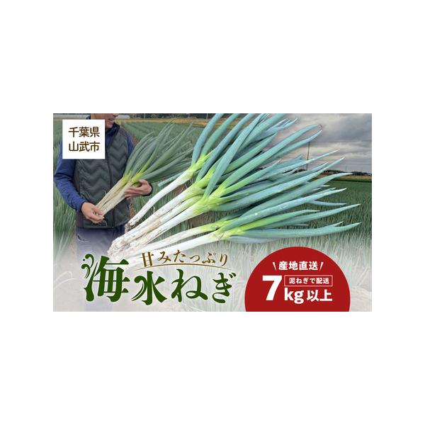 ■ 容量　海水ネギ（７kg以上）泥ネギ■ 配送について　配送不可地域：沖縄・離島　タイプ：【常温】