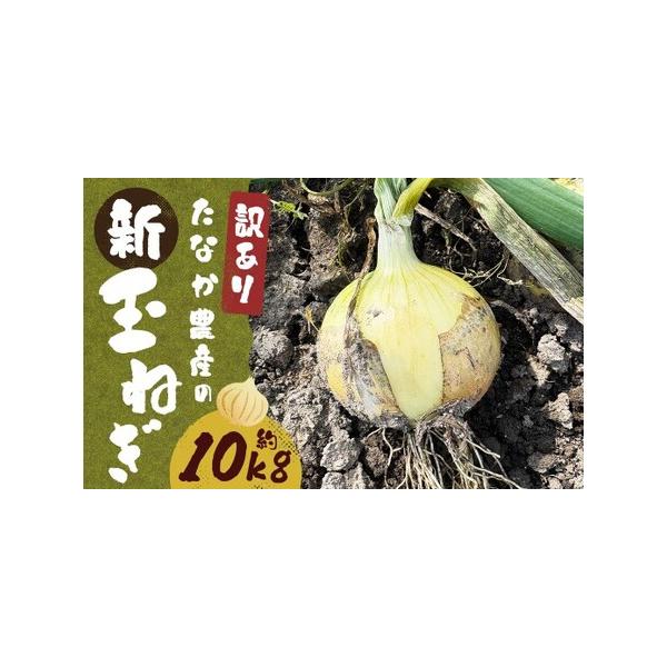 ■ 容量　約10kg■ 配送について　2026年4月上旬〜6月下旬迄順次発送予定　タイプ：【常温】