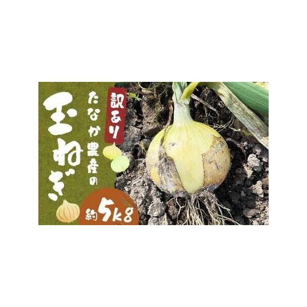 ■ 容量　約5kg■ 配送について　2026年6月下旬〜8月上旬迄順次発送予定　タイプ：【常温】