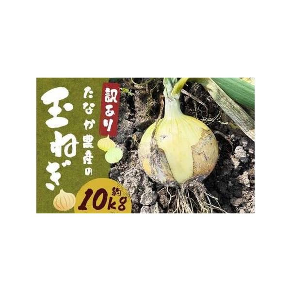 ■ 容量　約10kg■ 配送について　2026年6月下旬〜8月上旬迄順次発送予定　タイプ：【常温】