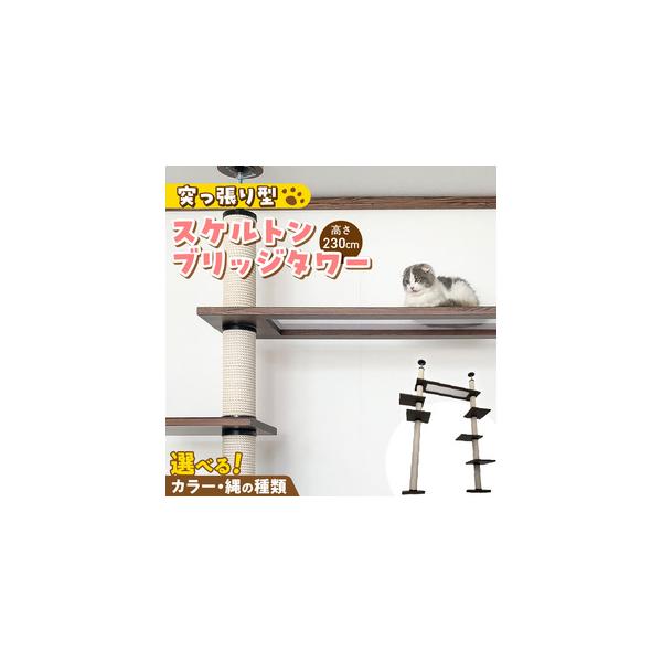 furunavi_1770778