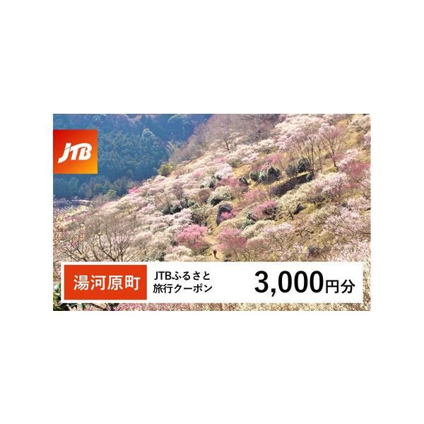 ■ 容量　湯河原町で1泊以上の宿泊を伴う旅行に利用できるクーポンです。※入金確認後に注文番号・クーポンコード・パスワードをご登録メールアドレスに送付します。　※【info@jtb-furusato.jp】からの受信設定要　【有効期間】　発行...