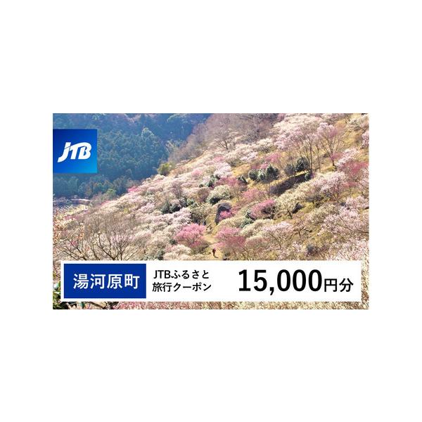 ■ 容量　湯河原町で1泊以上の宿泊を伴う旅行に利用できるクーポンです。※入金確認後に注文番号・クーポンコード・パスワードをご登録メールアドレスに送付します。　※【info@jtb-furusato.jp】からの受信設定要　【有効期間】　発行...