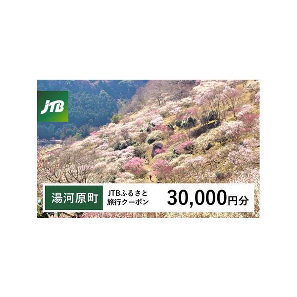 ■ 容量　湯河原町で1泊以上の宿泊を伴う旅行に利用できるクーポンです。※入金確認後に注文番号・クーポンコード・パスワードをご登録メールアドレスに送付します。　※【info@jtb-furusato.jp】からの受信設定要　【有効期間】　発行...