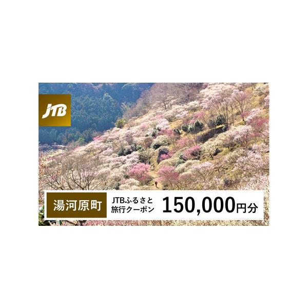 ■ 容量　湯河原町で1泊以上の宿泊を伴う旅行に利用できるクーポンです。※入金確認後に注文番号・クーポンコード・パスワードをご登録メールアドレスに送付します。　※【info@jtb-furusato.jp】からの受信設定要　【有効期間】　発行...