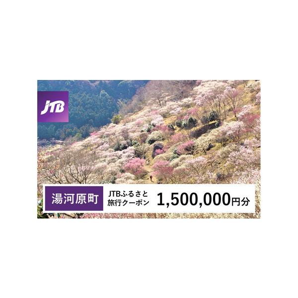 ■ 容量　湯河原町で1泊以上の宿泊を伴う旅行に利用できるクーポンです。※入金確認後に注文番号・クーポンコード・パスワードをご登録メールアドレスに送付します。　※【info@jtb-furusato.jp】からの受信設定要　【有効期間】　発行...