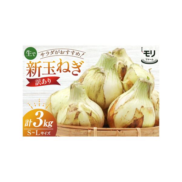 ■ 容量　■内容量　新玉ねぎ（S〜Lサイズ 混合) 計3kg程度　　■原産地 　長崎県島原市　　■賞味期限　発送より一週間程度（常温保存可）■ 配送について　2026年1月前半〜2026年2月後半において順次発送　※申込期日：2026年1月...