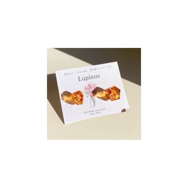 ■ 容量　※上記に記載■ 配送について　2026年2月より順次発送　タイプ：【常温】