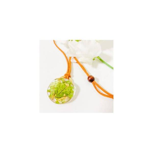 ■ 容量　※上記に記載■ 配送について　2026年2月より順次発送　タイプ：【常温】