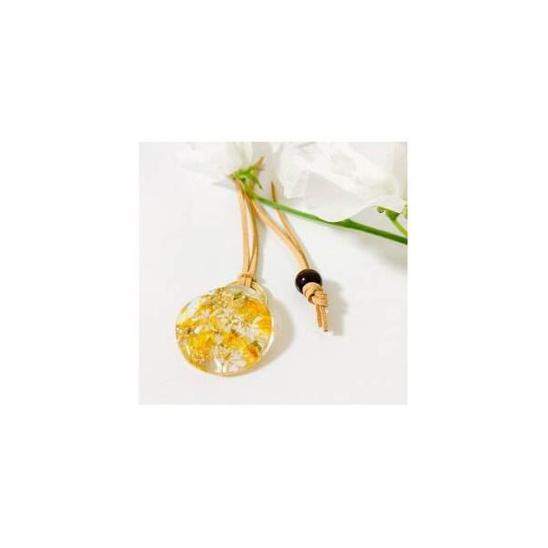 ■ 容量　※上記に記載■ 配送について　2026年2月より順次発送　タイプ：【常温】