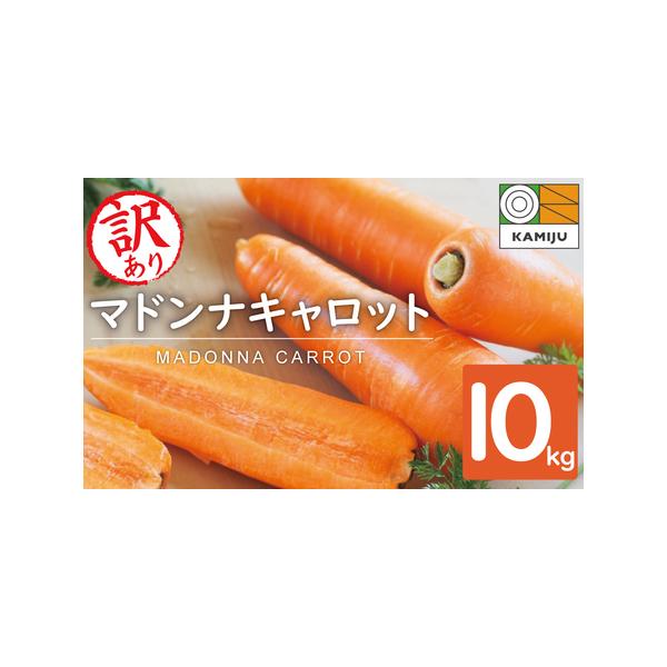 ■ 容量　訳あり　マドンナキャロット　10kg（大小サイズ混合　約40本前後）　※箱の重さを含みます　　【アレルギー】　特定原材料8品目及び特定原材料に準ずる20品目は使用していません　　【消費期限】　生鮮食品のためなるべく早めにお召し上が...
