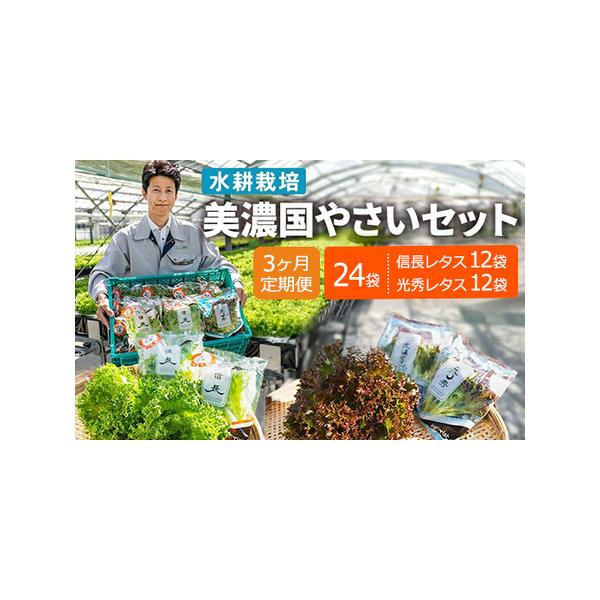 ■ 容量　信長レタス(70g)×12袋　光秀レタス(60g)×12袋　×3回■ 配送について　入金確認後、約2週間〜1ヶ月でお届け　タイプ：【冷蔵】【定期】