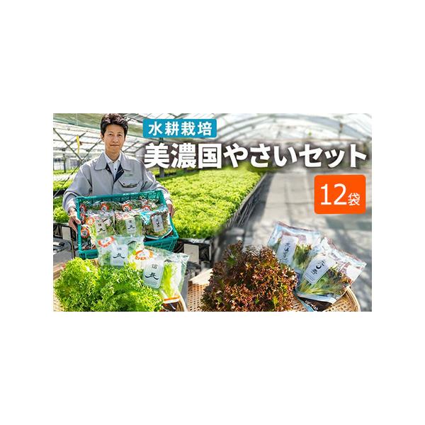 ■ 容量　信長レタス(70g)×6袋　光秀レタス(60g)×6袋■ 配送について　入金確認後、約2週間〜1ヶ月でお届け　タイプ：【冷蔵】
