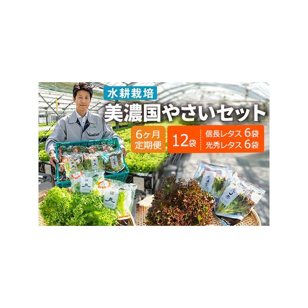 ■ 容量　信長レタス(70g)×6袋　光秀レタス(60g)×6袋　×6回■ 配送について　入金確認後、約2週間〜1ヶ月でお届け　タイプ：【冷蔵】【定期】
