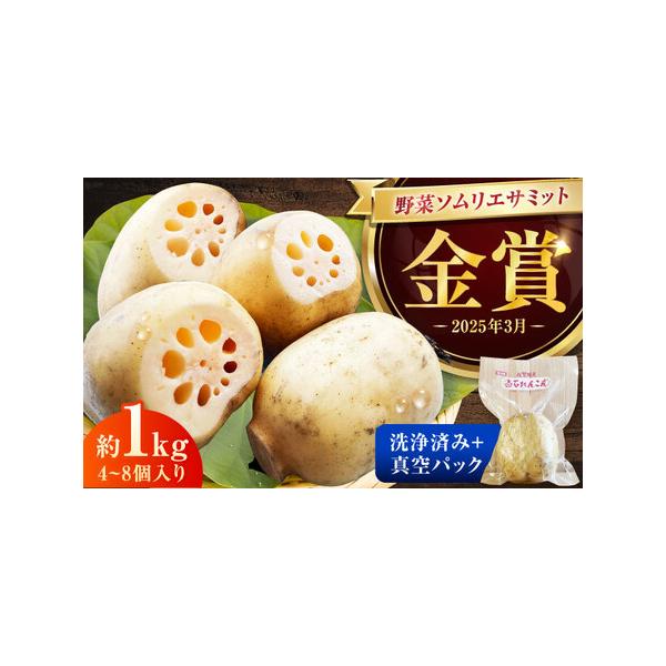 ■ 容量　真空パックれんこん：約1kg(4個から8個入り)　※出荷の際は細心の注意を払いお取り扱いしておりますが、輸送中の揺れや衝撃などから、稀に真空漏れが発生する場合がございます。あらかじめご了承いただけますと幸いです。　　【加工地】　佐...
