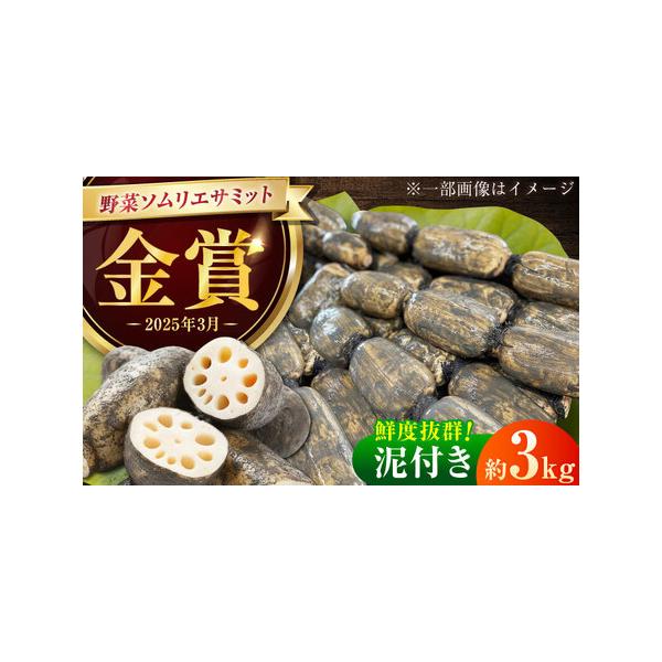 ■ 容量　泥付きれんこん：約3kg　※れんこんは表面に薄く泥を塗った状態でお送りします。新鮮なれんこんをお楽しみください。　　【加工地】　佐賀県杵島郡白石町　■ 配送について　★2月中旬頃まで発送　入金確認後、3週間以内に発送いたします（最...