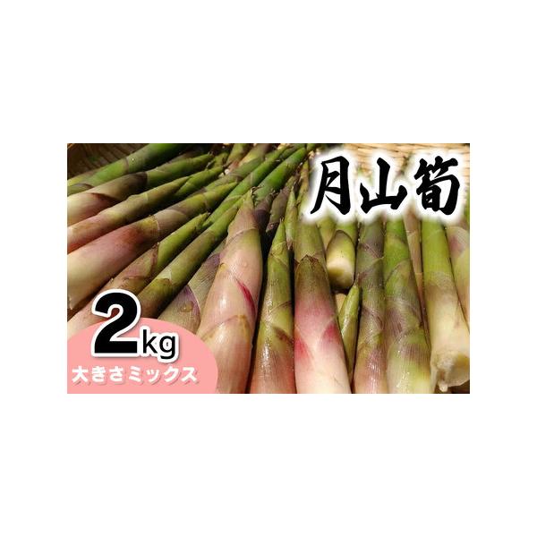 ■ 容量　月山筍（サイズミックス）2kg　※レシピを同封します。　　【提供事業者】鶴岡市朝日東部地区自治振興会　【産地名】山形県鶴岡市産　【産年】令和8年産　　【賞味期限】　到着後3日程度　※商品到着後、一度茹でていただければ、冷蔵庫で5日...