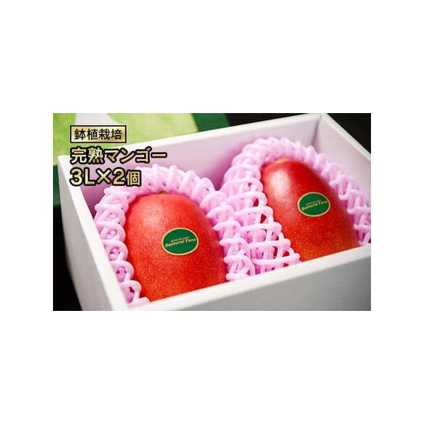 ■ 容量　３Ｌ×2個入り　　※1個あたり421g〜475gになります（サムライファーム基準重量）■ 配送について　令和8年4月下旬〜8月中旬の順次発送予定　※天候等により、収穫が前後する場合がございます　※生鮮食品ですので、ご不在がある場合...