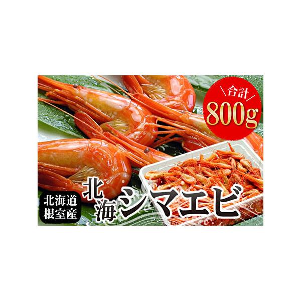 北海シマエビは海のルビー おいしい食べ方と旬の時期を解説 希少なエビを通販でお取り寄せ たべごと