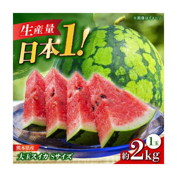 ふるさと納税 【先行予約】 大玉スイカ Sサイズ 1玉入り 約2kg  すいか 小玉 熊本 フルーツ 野菜 果物 【日本フルーツ株式会社】[ZFJ038] 熊本県山鹿市