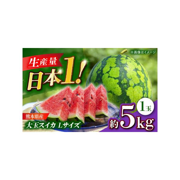 ■ 容量　約5kg(1玉入)　■ 配送について　ご入金確認後、【2026年】5月上旬?6月下旬にかけて順次発送いたします。　タイプ：【常温】