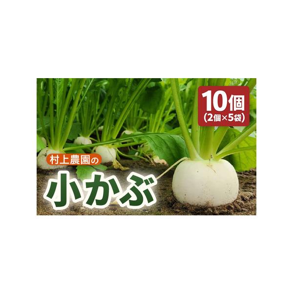 ■ 容量　■内容量等　小かぶ　2玉入り×5袋　産地：坂井市　　■ 原材料　坂井市産小かぶ　　■ 本品に含まれるアレルギー表示28品目　なし　　■ 賞味期限等　発送日より7日以内（冷蔵保存時）　　■ 備考　※冷蔵庫にて保管して下さい。　　■ ...