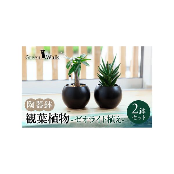 ■ 容量　2鉢セット　　　　　　　　　　　　　　　　　　　　　　　　　　　　　　　　　　　　器：W9×H7cm　　　　　　　　　　　　　　　　　　　　　　　　　　　　　　　植物含めた高さ：約10-15cm前後　材質(器)：陶器■ 配送につい...