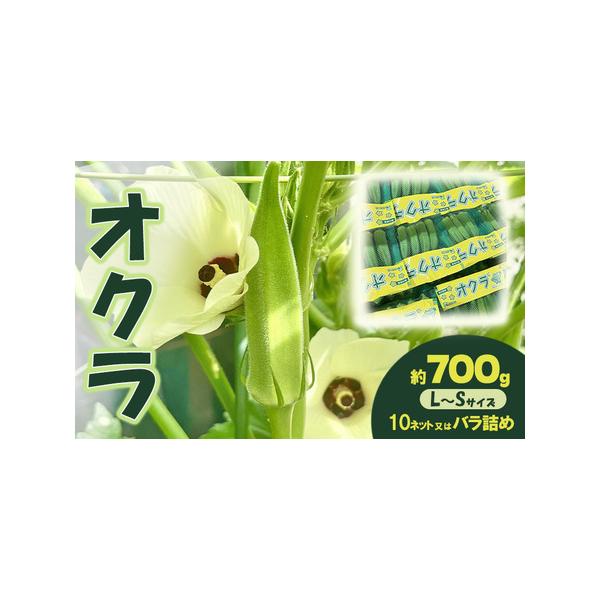 ■ 容量　約700g（L〜Sサイズ）10ネットまたはバラ詰め　※香川県産　■ 配送について　2026年7月22日〜10月10日　　タイプ：【冷蔵】
