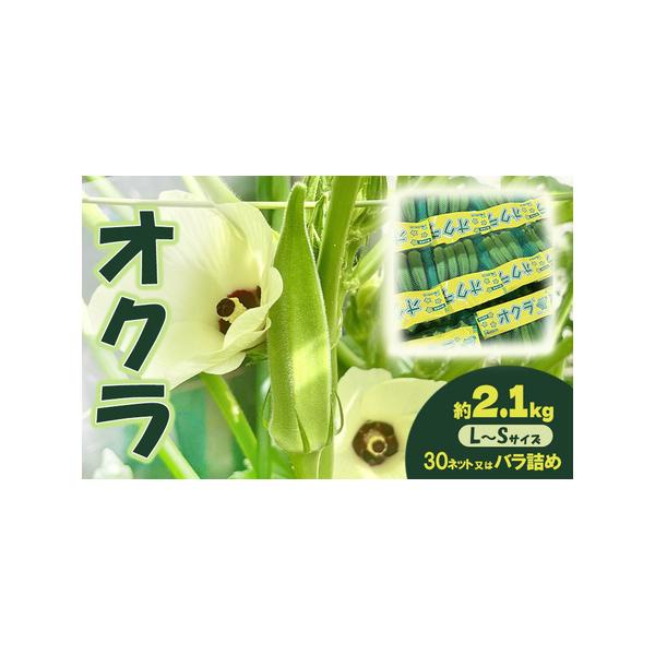 ■ 容量　約2.1kg（L〜Sサイズ）30ネットまたはバラ詰め　※香川県産　■ 配送について　2026年7月22日〜10月10日　　タイプ：【冷蔵】