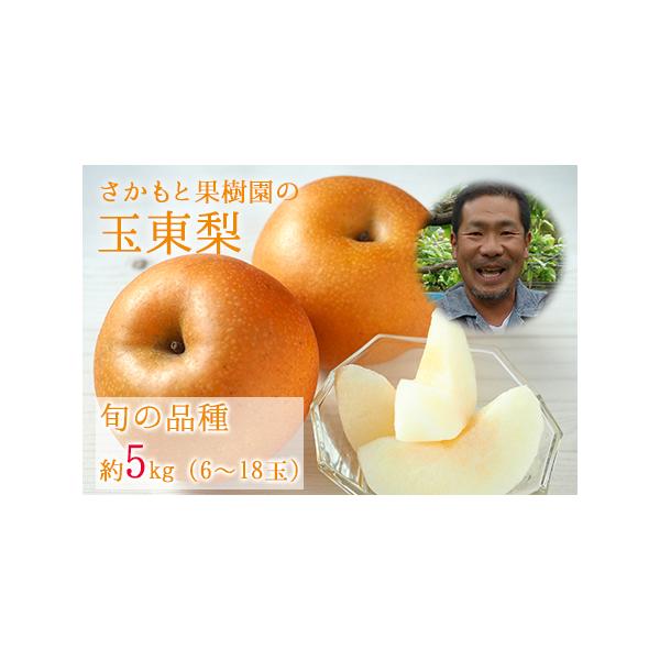 ■ 容量　梨 約5kg(約6-18玉)■ 配送について　8月中旬-9月末頃出荷　タイプ：【冷蔵】