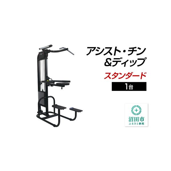 ふるさと納税 SS-G アシスト・チン＆ディップ スタンダード BB553000で自宅筋トレ充実