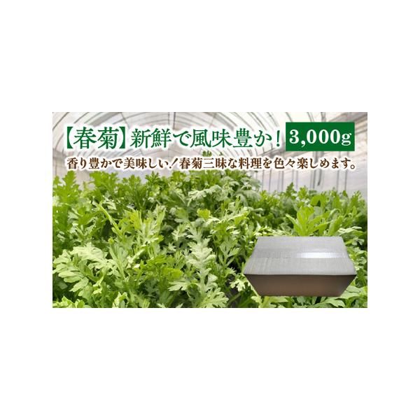 ■ 容量　春菊　約3000g■ 配送について　ご注文確認後、収穫後より順次発送。収穫期間は3週間以内に順次発送。　　【収穫目安】　11月頃〜4月頃まで　※気候により変動致します。　※ＧＷ、お盆、年末年始等の長期休暇のため、発送が遅れる場合が...