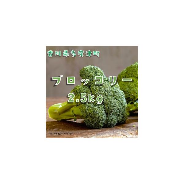 ■ 容量　ブロッコリー約2.5kg　タイプ：【冷蔵】