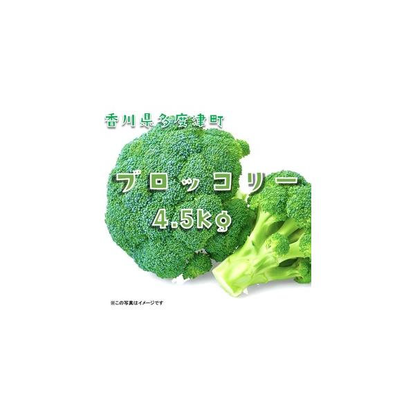 ■ 容量　ブロッコリー　訳あり約4.5kg　タイプ：【冷蔵】