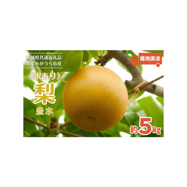 ■ 容量　約5kg（8〜12玉）■ 配送について　100サイズ　ヤマト運輸　タイプ：【常温】