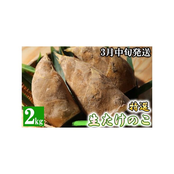■ 容量　【容量】　朝堀たけのこ　2kg　米ぬか　　【賞味期限】　到着後、お早めにお召し上がりください。■ 配送について　3月中旬から順次発送　タイプ：【冷蔵】