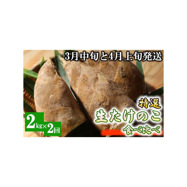 ■ 容量　【容量】　朝堀たけのこ　2kg×2回発送　米ぬか　　【賞味期限】　到着後、お早めにお召し上がりください。■ 配送について　3月中旬と4月上旬の計2回発送　タイプ：【冷蔵】