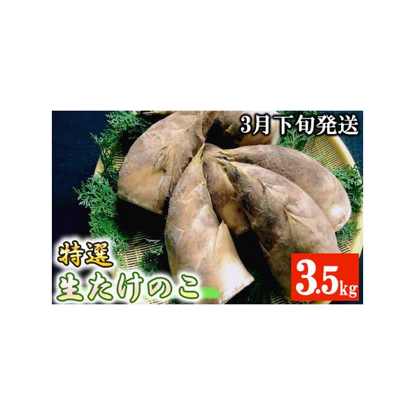 ■ 容量　【容量】　朝堀たけのこ 3.5kg　米ぬか　　【賞味期限】　到着後、お早めにお召し上がりください。■ 配送について　3月下旬から順次発送　タイプ：【冷蔵】
