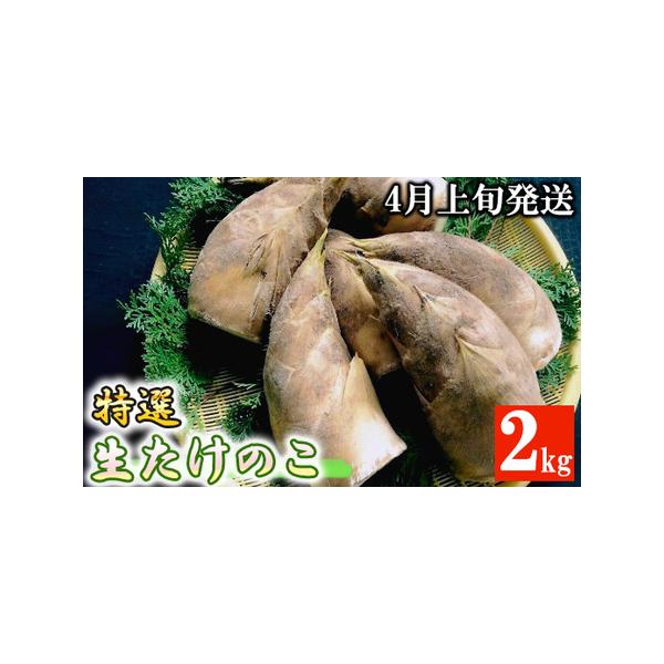 ■ 容量　【容量】　朝堀たけのこ 2kg　米ぬか　　【賞味期限】　到着後、お早めにお召し上がりください。■ 配送について　4月上旬から順次発送　タイプ：【冷蔵】