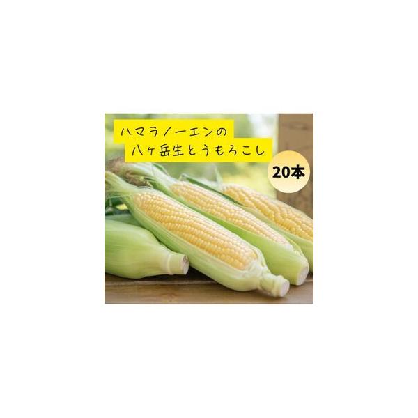 ■ 容量　※上記に記載■ 配送について　2026-07-20〜2026-09-30※複数個口での配送となります。個口ごとに発送メールが配信されます。　タイプ：【冷蔵】
