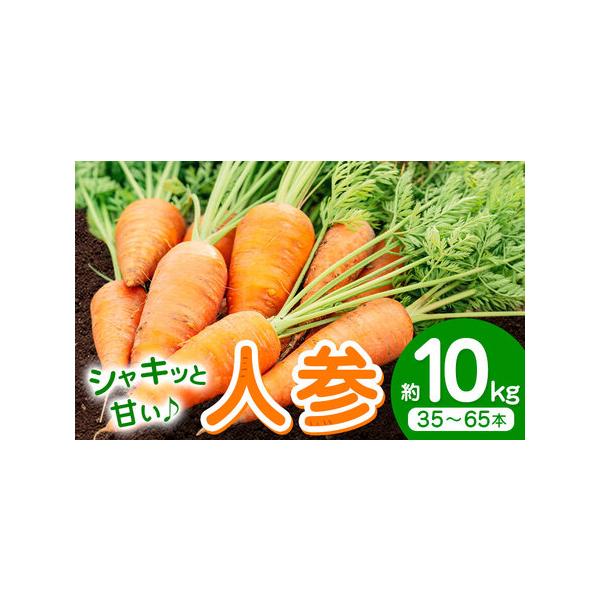 ■ 容量　約10kg(35-65本)■ 配送について　2026年4月上旬-6月上旬頃出荷　タイプ：【常温】