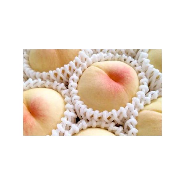 ■ 容量　2kg■ 配送について　2026年6月下旬〜9月下旬まで順次発送予定　※天候や発送状況により多少前後する場合がございますので、予めご了承ください。　タイプ：【冷蔵】