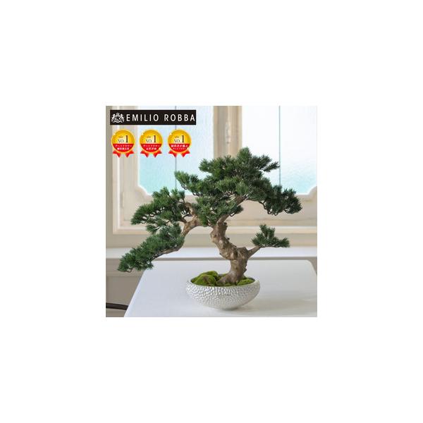 ■ 容量　盆栽　TUTTA30500　1個：横幅 67cm× 奥行 45cm× 高さ 62cm（※多少の誤差はございます）　　タイプ：【常温】