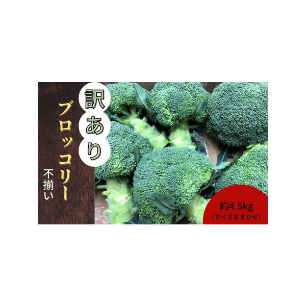 ■ 容量　約4.5kg（サイズおまかせ）　■ 配送について　11月下旬から5月上旬　　タイプ：【冷蔵】